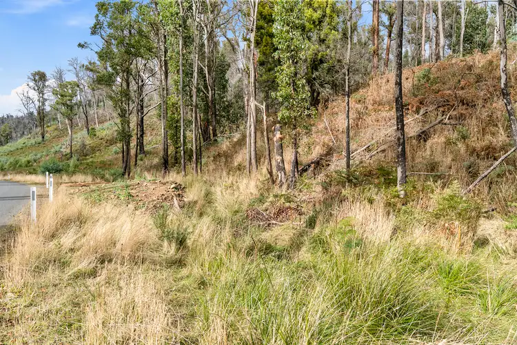 Fifth view of Homely land listing, 699 Pelham Road, Pelham TAS 7030