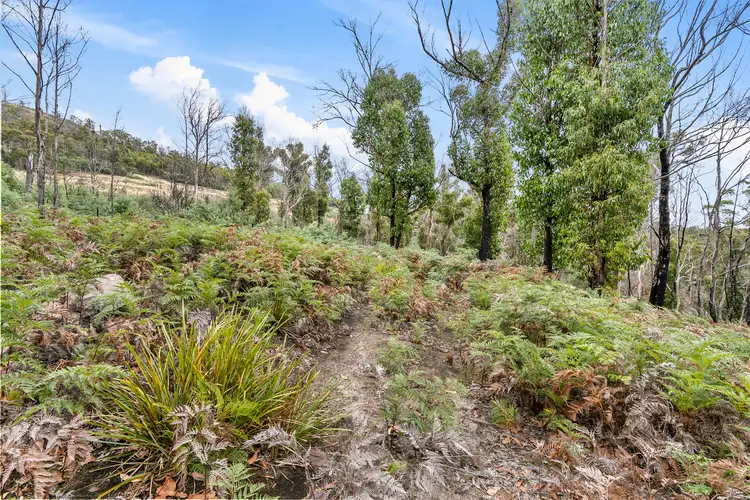Sixth view of Homely land listing, 699 Pelham Road, Pelham TAS 7030