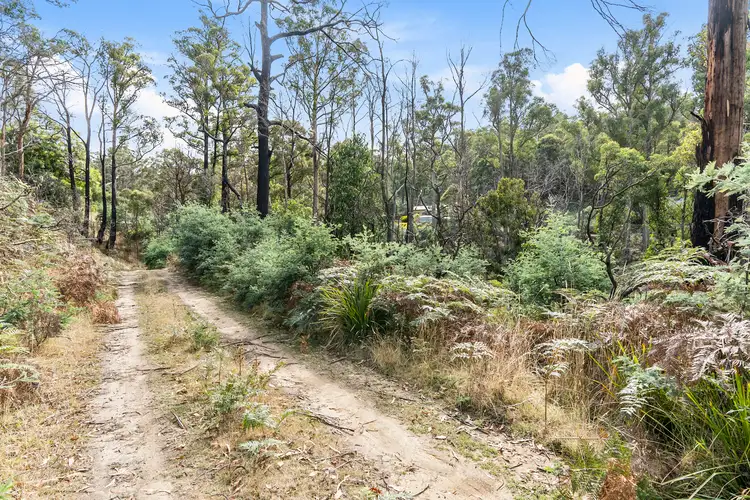 Seventh view of Homely land listing, 699 Pelham Road, Pelham TAS 7030