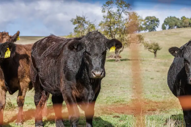 Third view of Homely land listing, 179 Muellers Road, Birdwood SA 5234