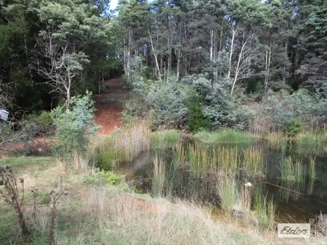 Fourth view of Homely rural property listing, 1949 Wilmot Road, Lower Wilmot TAS 7310