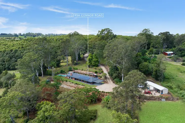 Main view of Homely rural property listing, 245A Connor Road, Tregeagle NSW 2480