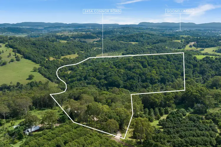 Second view of Homely rural property listing, 245A Connor Road, Tregeagle NSW 2480