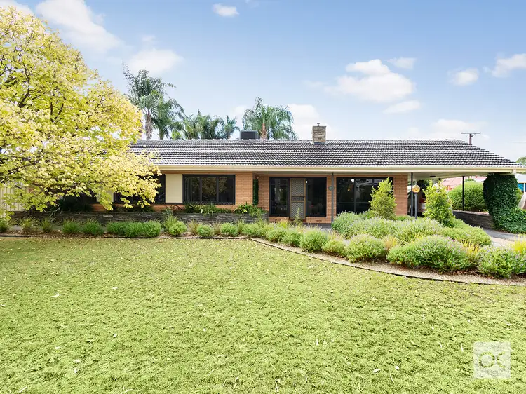 Main view of Homely house listing, 31 Alice Crescent, Morphett Vale SA 5162