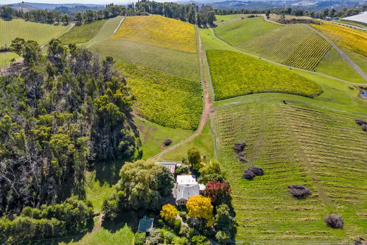 Second view of Homely rural property listing, 245 Coldstore Road, Lenswood SA 5240