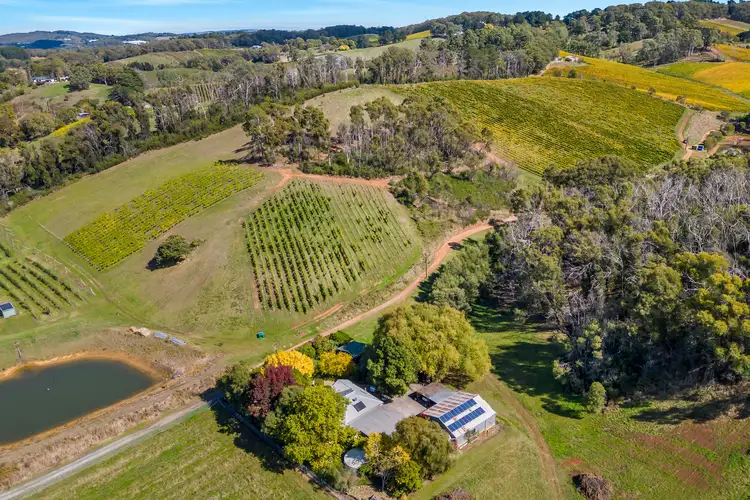 Fourth view of Homely rural property listing, 245 Coldstore Road, Lenswood SA 5240