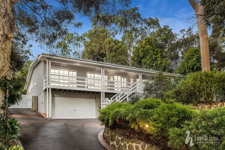 Main view of Homely house listing, 51 Aurum Crescent, Ringwood North VIC 3134