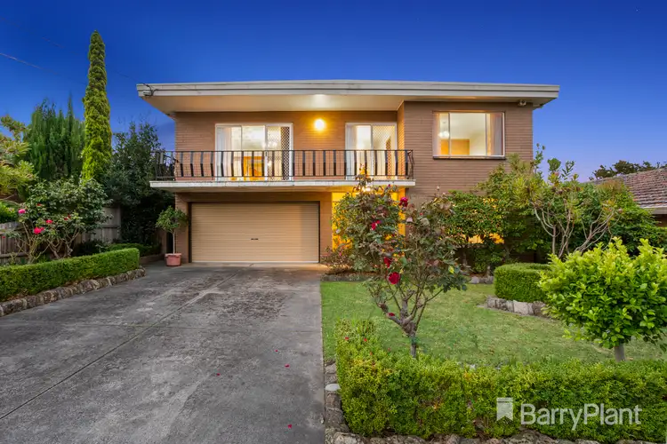 15 Pineda Court
