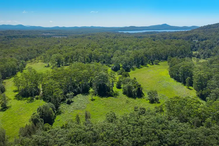 Fourth view of Homely rural property listing, Mountain View Drive, Kew NSW 2439