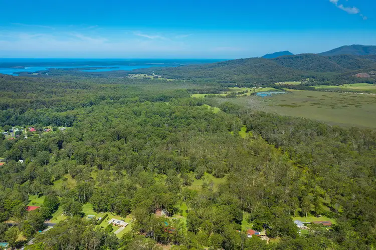 Fifth view of Homely rural property listing, Mountain View Drive, Kew NSW 2439