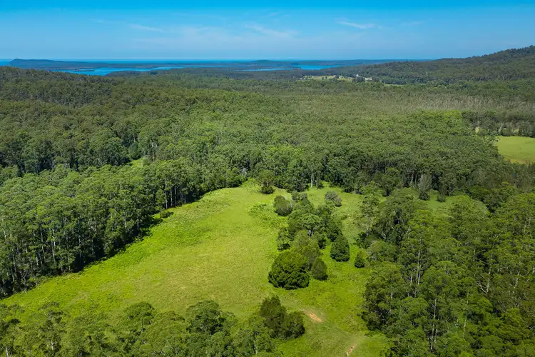 Seventh view of Homely rural property listing, Mountain View Drive, Kew NSW 2439