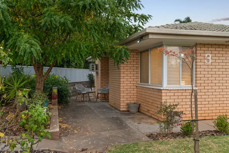3 Chapman Avenue, Mclaren Vale SA 5171