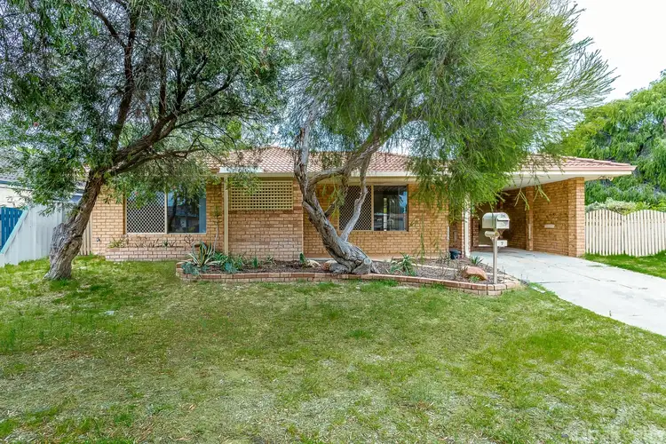 Main view of Homely house listing, 7 Axminster Street, Warnbro WA 6169