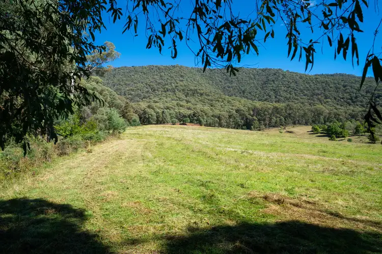 Second view of Homely rural property listing, Great Alpine Road, Smoko VIC 3741