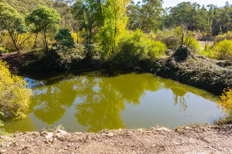 Sixth view of Homely rural property listing, Great Alpine Road, Smoko VIC 3741