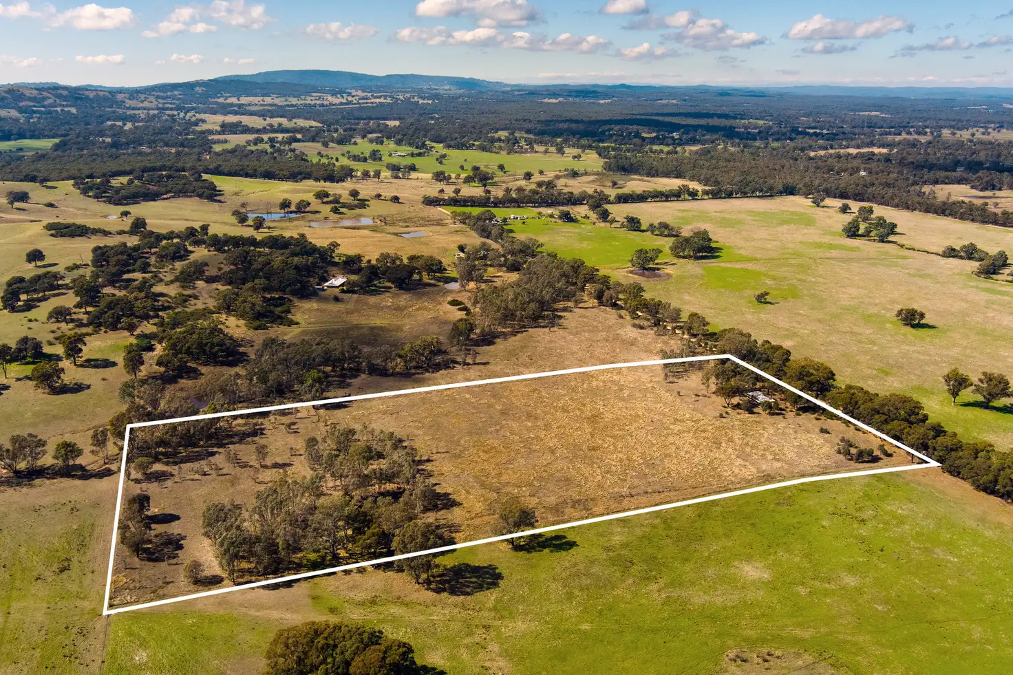 Main view of Homely house listing, 55 Mcgregors Road, Walmer VIC 3463