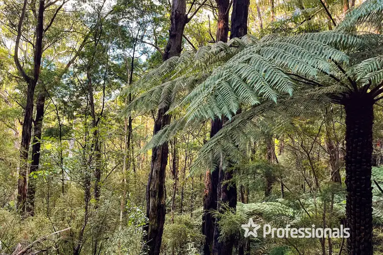 Fourth view of Homely land listing, 360 Old Warburton Road, Warburton VIC 3799