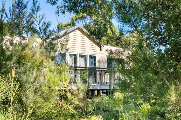 51 Free Street, White Beach TAS 7184