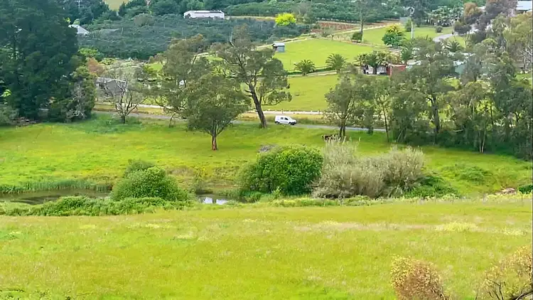 Fourth view of Homely house listing, 295 Beenak Road, Seville VIC 3139
