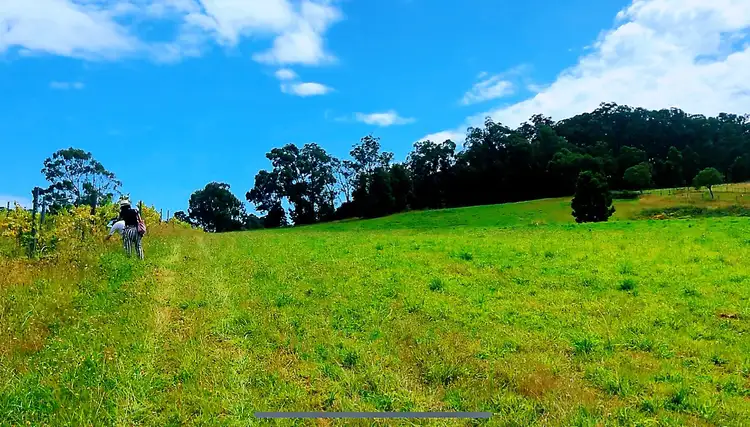 Fifth view of Homely house listing, 295 Beenak Road, Seville VIC 3139