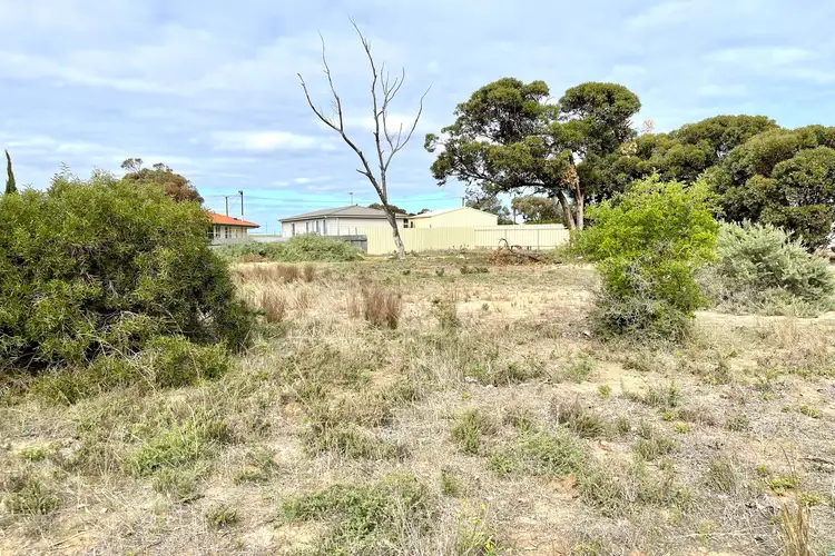 Fifth view of Homely land listing, 12 Chandler Cres. & 8 Handtke Drive, Ceduna SA 5690