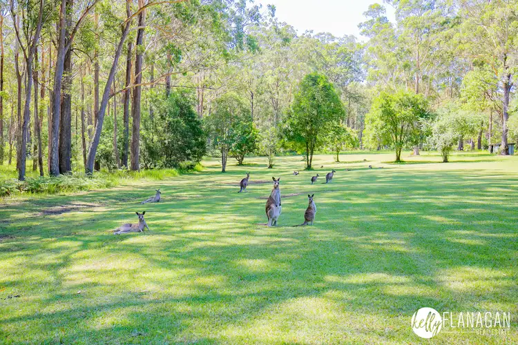 Fifth view of Homely rural property listing, 38 Robinsons Access, Via Beranghi Road, Crescent Head NSW 2440