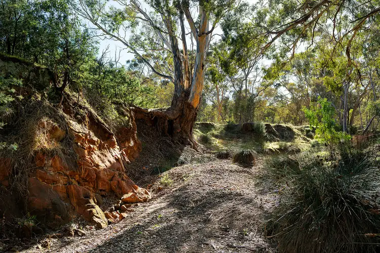 Fifth view of Homely land listing, 147 Sandy Creek Road, Maldon VIC 3463