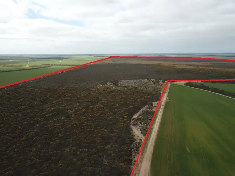 Main view of Homely rural property listing, 101 Mallee Road, West River WA 6346