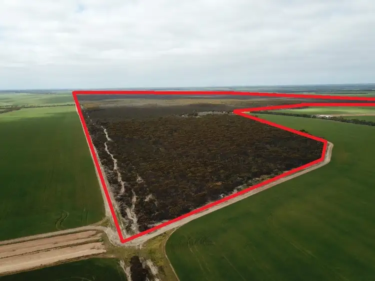 Second view of Homely rural property listing, 101 Mallee Road, West River WA 6346