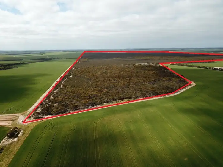 Third view of Homely rural property listing, 101 Mallee Road, West River WA 6346