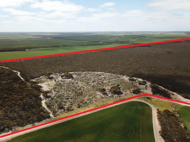 Fifth view of Homely rural property listing, 101 Mallee Road, West River WA 6346