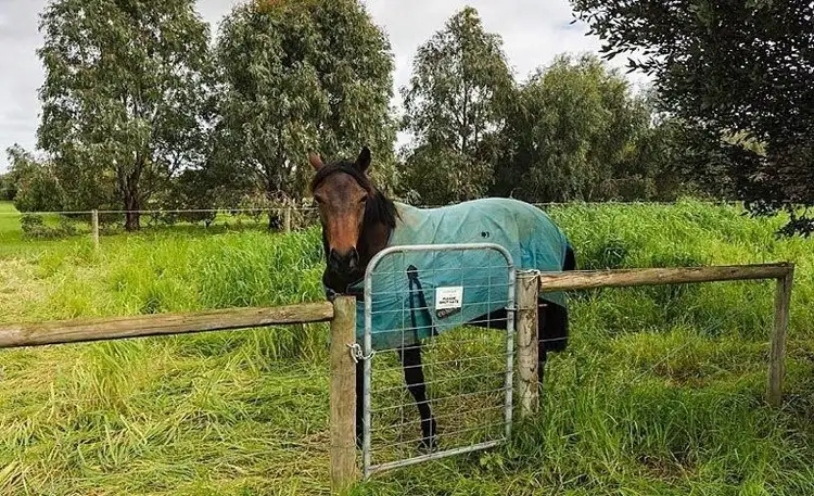 Fifth view of Homely rural property listing, 59 Finniss-Clayton Road, Finniss SA 5255