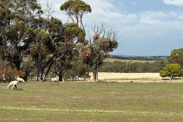 Fifth view of Homely rural property listing, 185 Mandiakon Road, Dale WA 6304