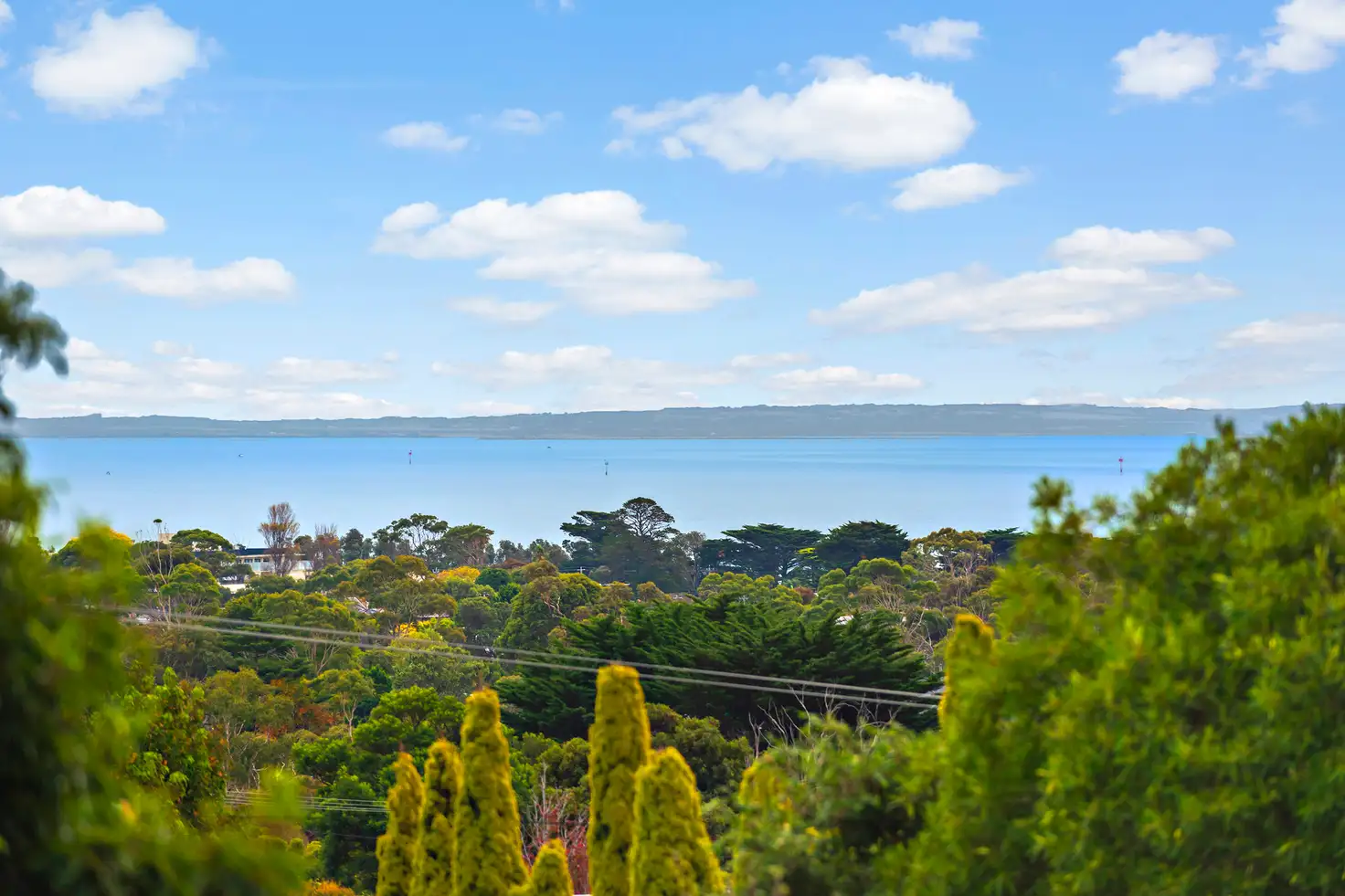 Main view of Homely house listing, 24 Riley Street, Mccrae VIC 3938