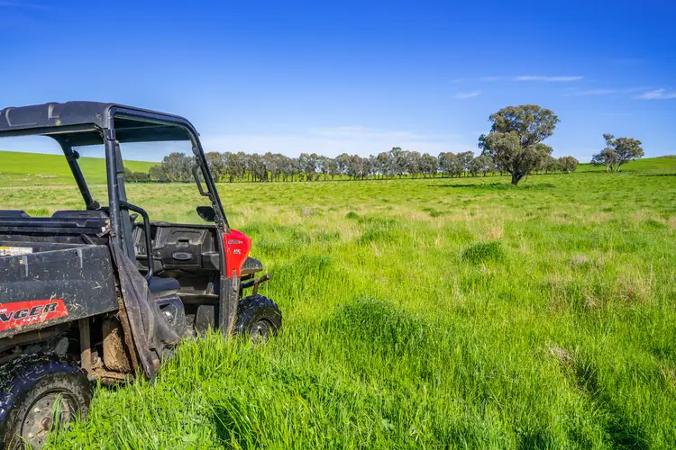 Main view of Homely rural property listing, Mid-Western Highway, Cowra NSW 2794