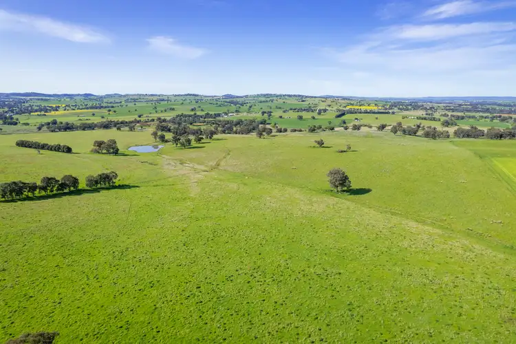 Second view of Homely rural property listing, Mid-Western Highway, Cowra NSW 2794