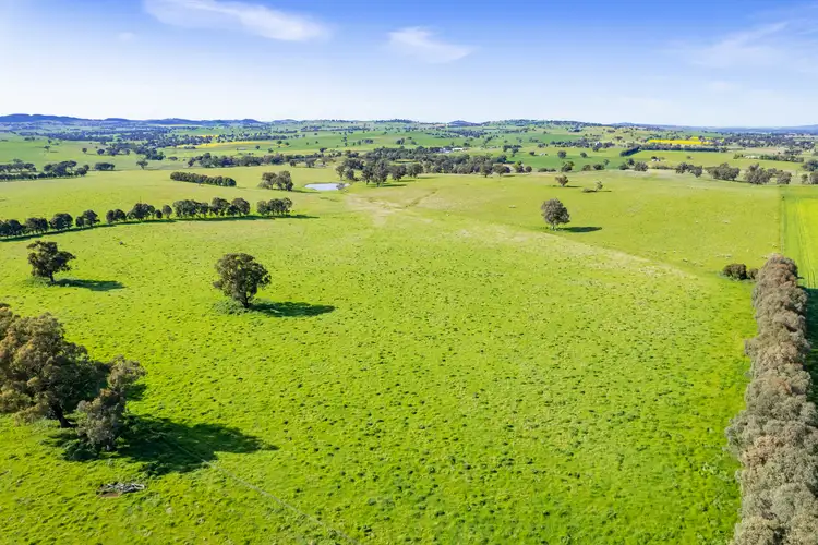 Fourth view of Homely rural property listing, Mid-Western Highway, Cowra NSW 2794