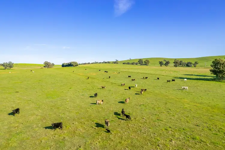 Fifth view of Homely rural property listing, Mid-Western Highway, Cowra NSW 2794