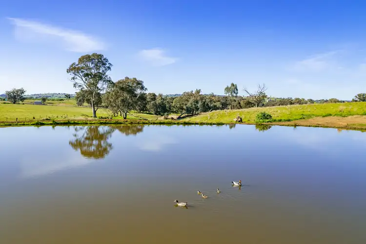 Sixth view of Homely rural property listing, Mid-Western Highway, Cowra NSW 2794