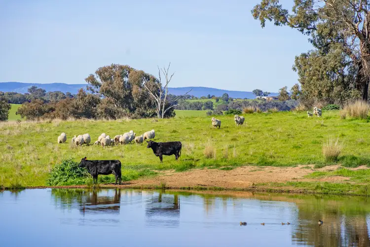 Seventh view of Homely rural property listing, Mid-Western Highway, Cowra NSW 2794