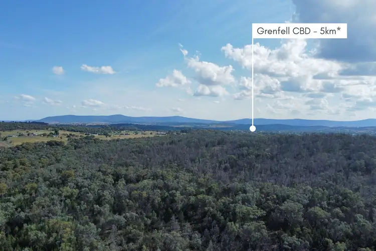 Lot 2 Adelargo Road, Grenfell NSW 2810