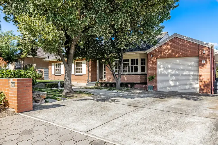 19 Tindara Avenue, Windsor Gardens SA 5087