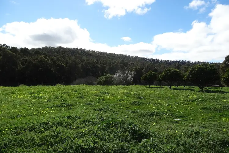 Lot 800 Goodwood Road, Capel River WA 6271