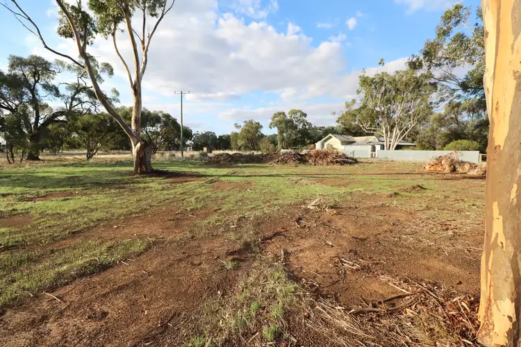 Fifth view of Homely rural property listing, Crn Echuca-Serpentine & Prairie Road, Calivil VIC 3573