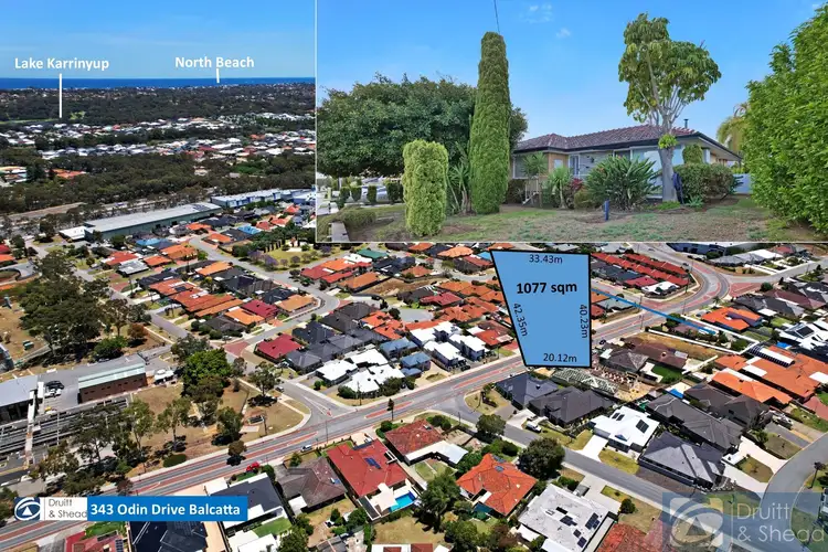 Main view of Homely house listing, 343 Odin Drive, Balcatta WA 6021