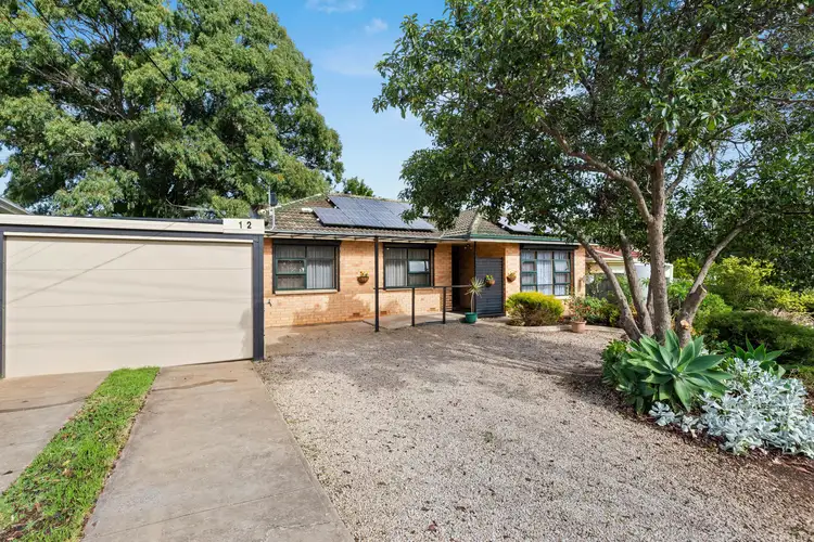 12 Flockhart Avenue, Valley View SA 5093