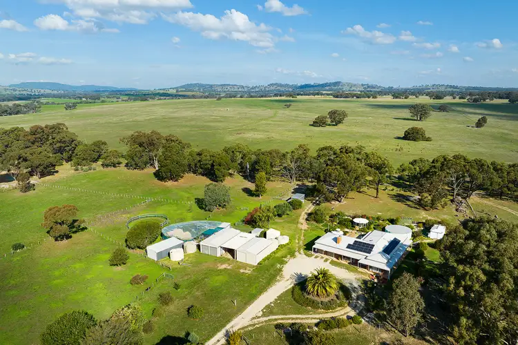 81 Ramon Parade, Ravenswood VIC 3453