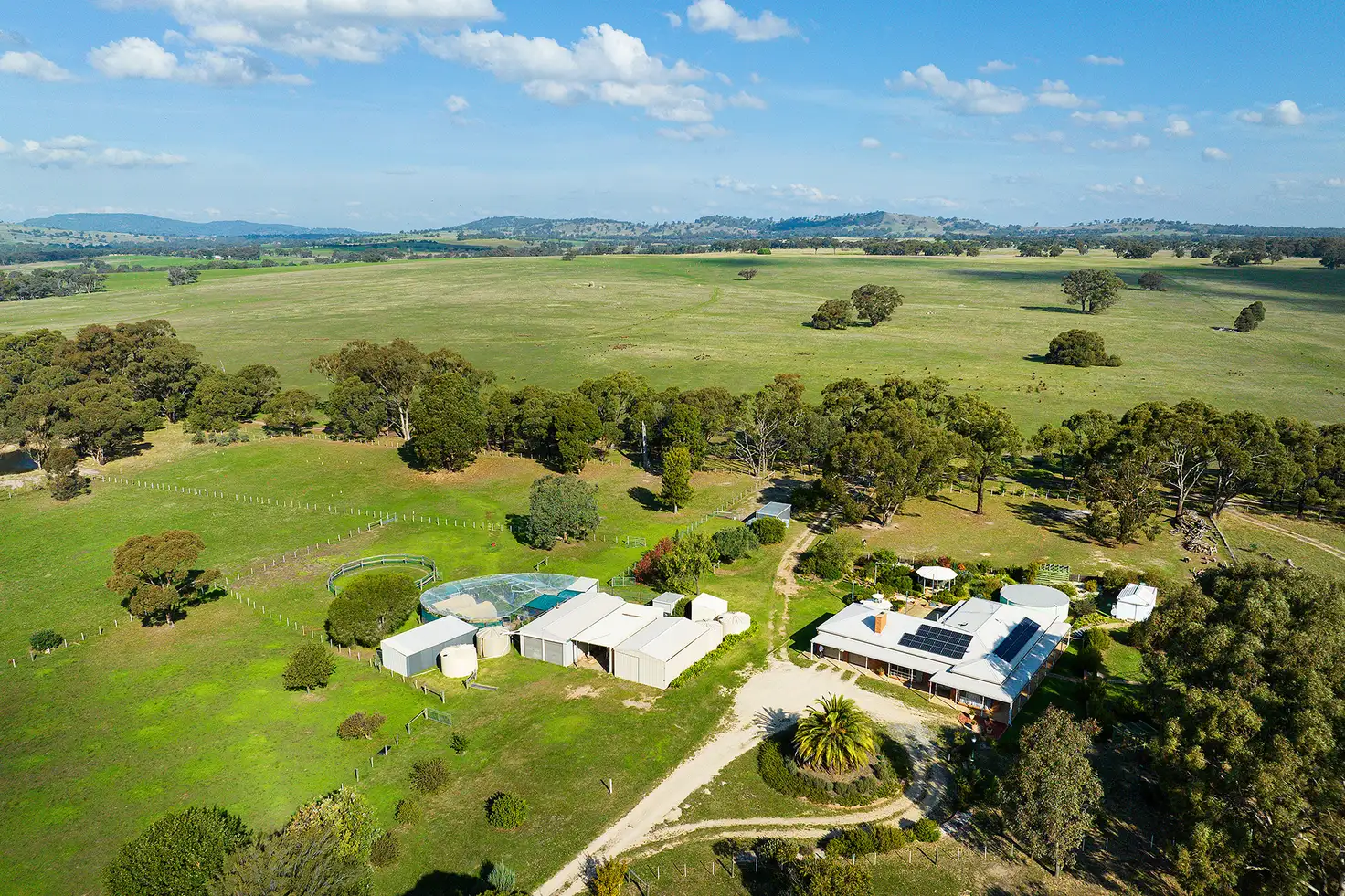 Main view of Homely house listing, 81 Ramon Parade, Ravenswood VIC 3453