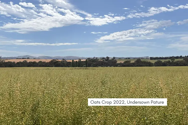 Fourth view of Homely rural property listing, 708 Garland Road, Lyndhurst NSW 2797