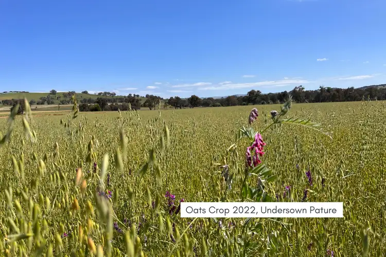 Seventh view of Homely rural property listing, 708 Garland Road, Lyndhurst NSW 2797